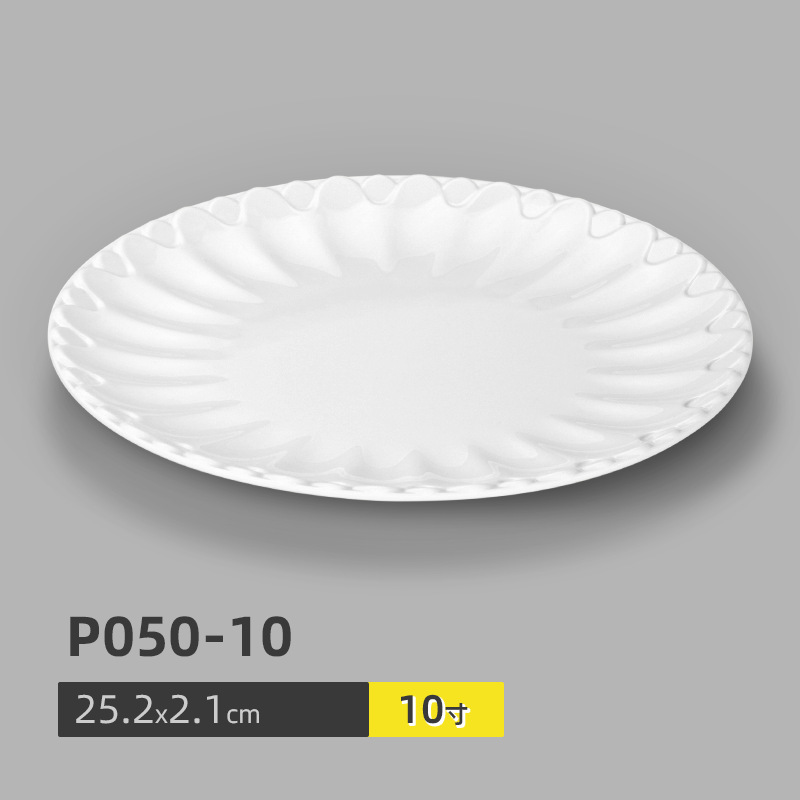 P050-10