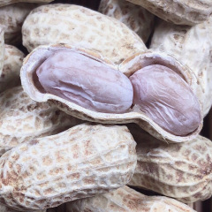 龍岩帯殻水煮白干しにんにく香五香ショートニング落花生230g一袋の間食ナッツ特産卸売り