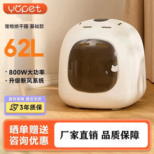 宠物烘干机猫咪烘干箱全自动家用小型犬洗澡吹水机吹风机吹风箱