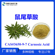 β5%ԵȡCarnosic AcidCAS#3650-09-7Ե۬F؛