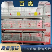 �����Č����w���r�\С�u�\ �������I�B�u�O�� ��\���P�u�\��