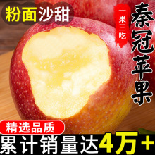 陕西秦冠粉面沙甜苹果新鲜婴儿老人宝宝刮泥斤秋冬应季水果整箱