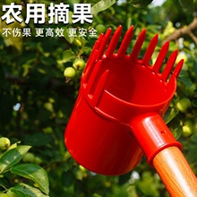 摘果器新款加厚塑料酸枣采果采摘器果树家用摘山枣蓝莓番茄摘枸杞
