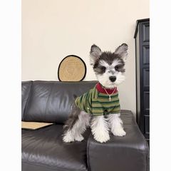 狗狗衣服春秋薄款泰迪马尔济斯条纹圆领T恤基础款猫咪防掉毛小型