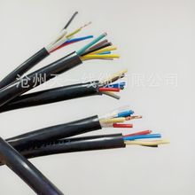 �V�ÿ�����|  MKVV-450/750  3*1 ú���C�R��������