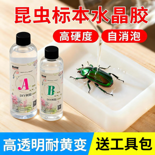 ���x�˱�ˮ�����z��͸�h����֬ab�z�ֹ�diy��������ֲ��ģ�����b