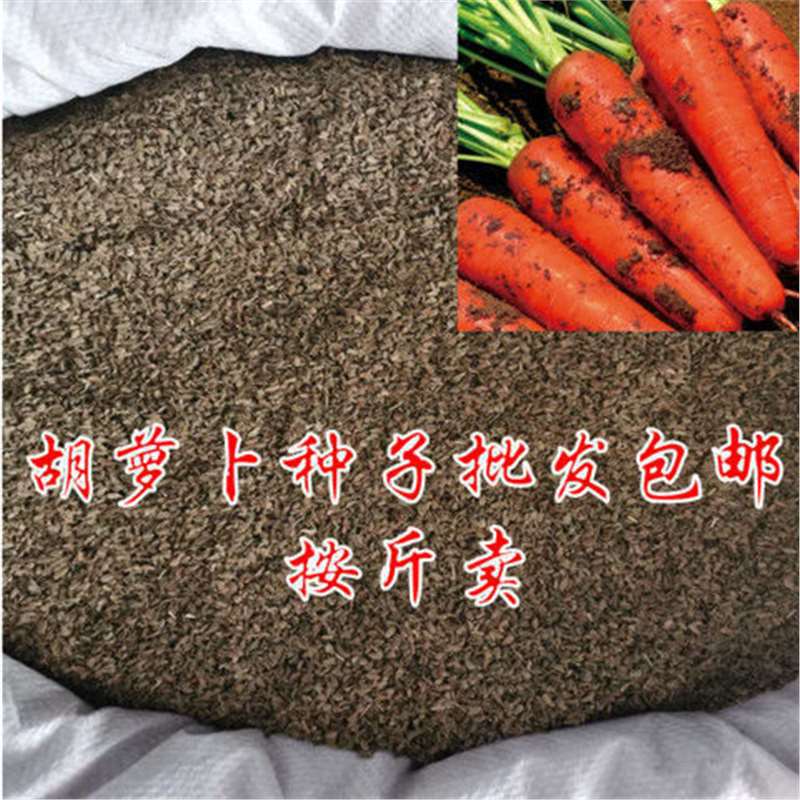 One pound of carrot seeds