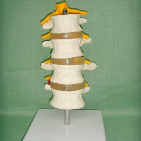 ��׵ģ�� �Ľ���׵ ����ģ�� ��׵��׵���̴��񾭸�ģ��