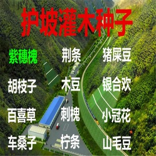 ���뻱�N���o�¹�ľ���ٹ�·�ӵ��o�¹������mľ���iʺ���Ϛg�N��