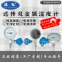 定制双金属输出显示温度表