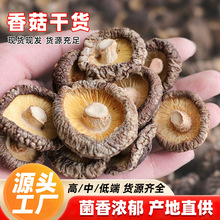 �㹽��؛500g�ؼ����r�I�B�r�Ҿ��x���o����Ģ��������������