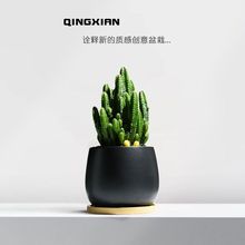 �f��ɽ�҃������������ͺ����Bֲ���k���҄��⻨�������ݗ��Gֲ