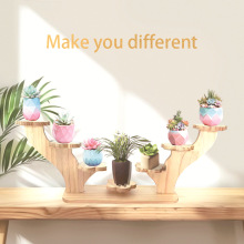 �����b�������������Ԕ[���Gֲ��ľ����������ľ�|��������