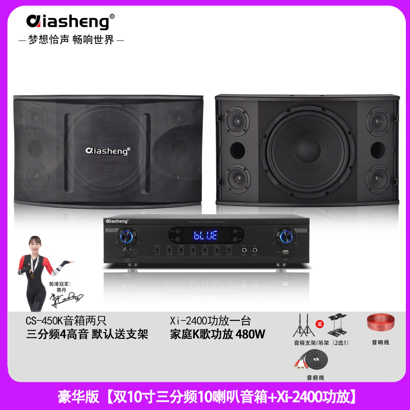 QIASHENG 家庭KTV音响套装卡拉OK点歌机专业音箱全套K歌影院设备|undefined