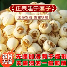 2024؛ɏӼȻrֹȥƤȥоɏ؛500