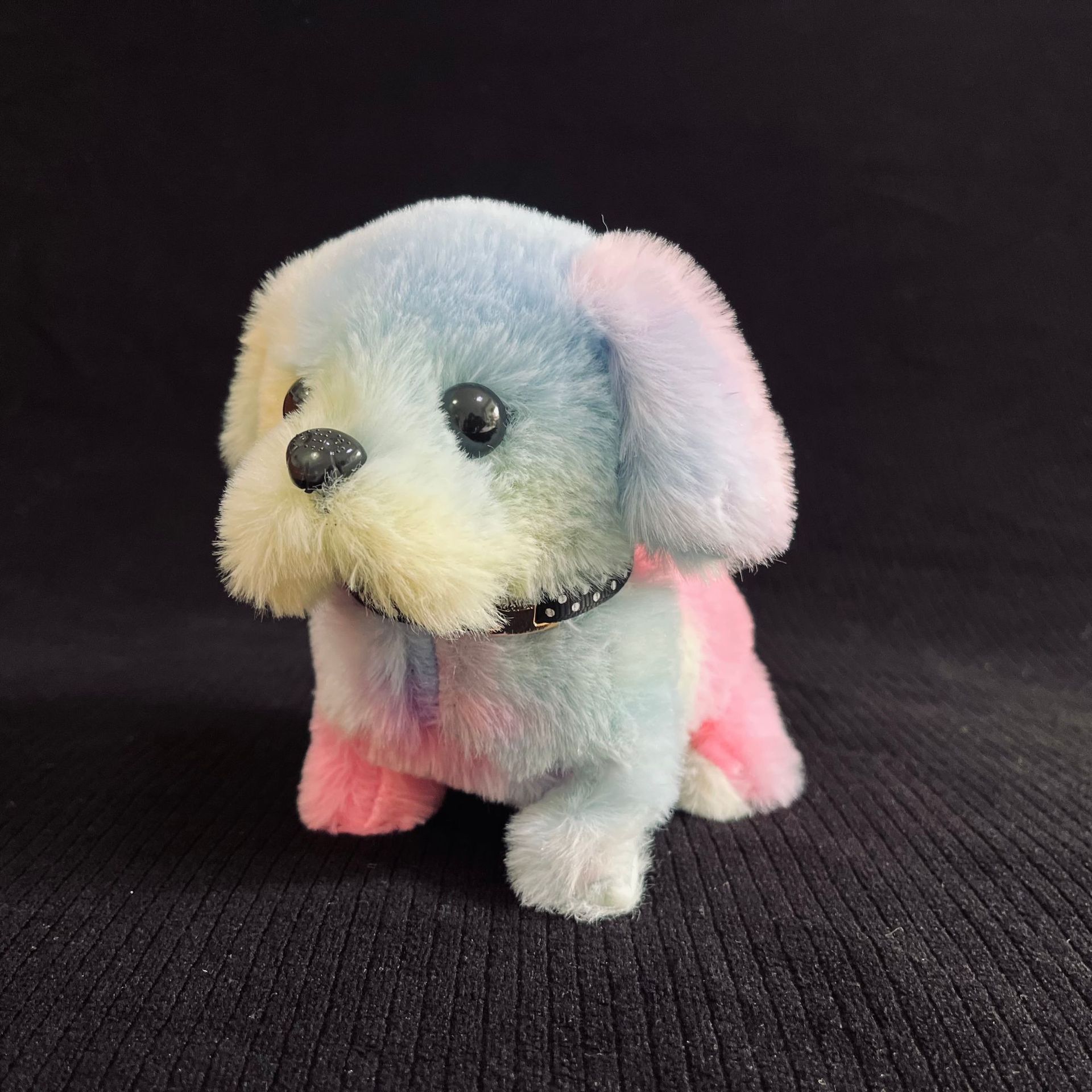 Rainbow dog