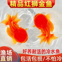 �t�{���~�����~��ˮ�~���~���~��ˮ�\�����w���B�ͻ�Ӝ��^�p�~