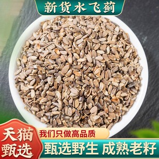 ˮ�w�E��ș����Ʒˮ�w�E��ˮ�w�E�� ˮ�w�E��ˮ�w�����E����500��