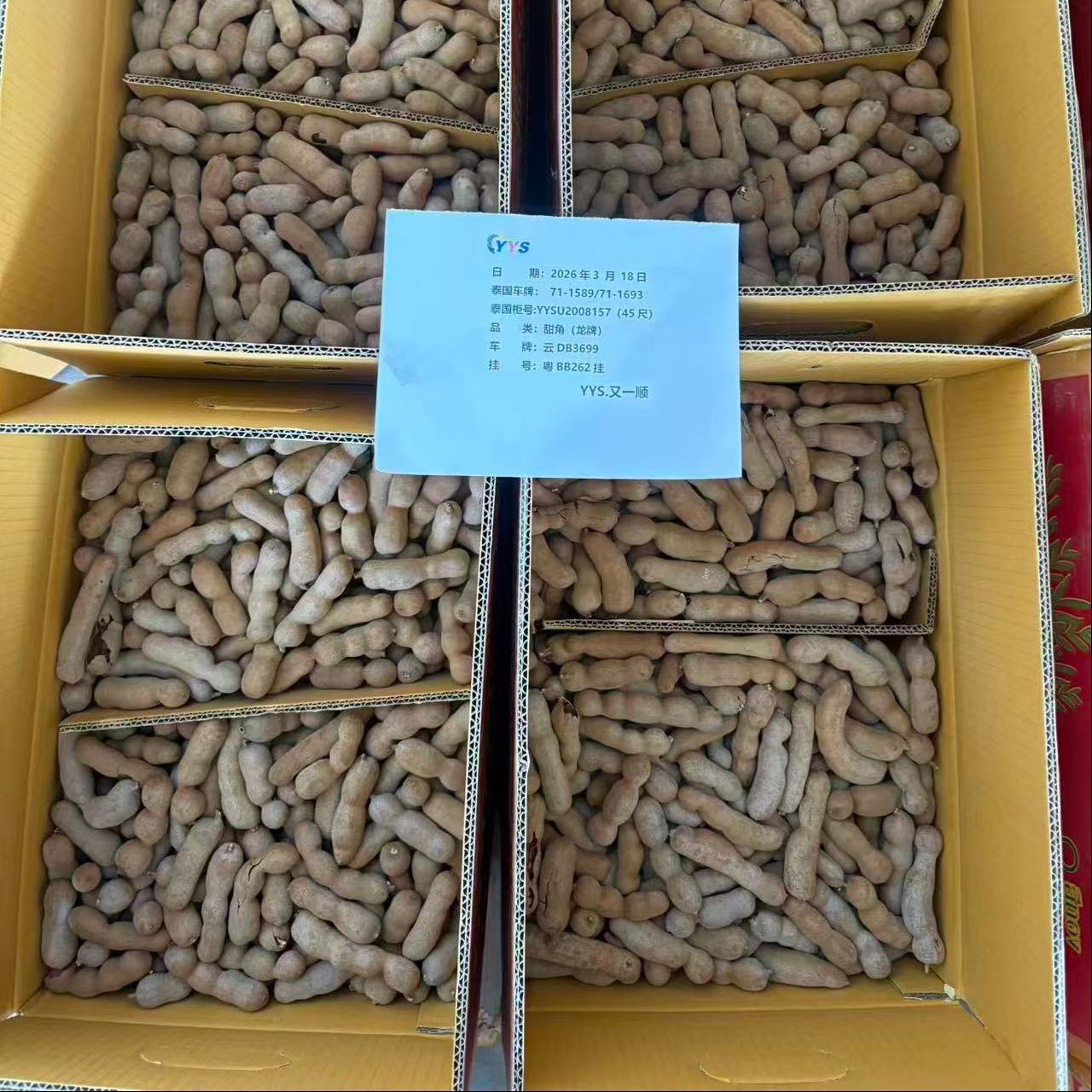 微信图片_20260401130938_1304_13(1)