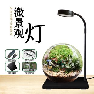 Micro landscape light fill light board fish tank desktop aquarium spotlight fleshy plant water a batch of generation