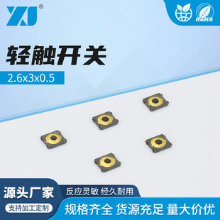 2.6X3X0.5 Is Suitable for Apple iPad Switch Shrapnel, Return Key Shrapnel, iPhone Power Button Volume