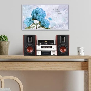 Danish Crown AVANCE ADV-380 combination Audio Bluetooth gallbladder amplifier speaker