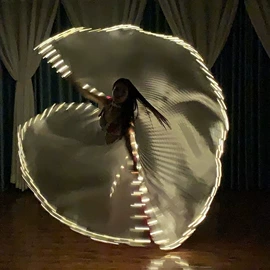 舞台/表演服;肚皮舞表演服;旗帜