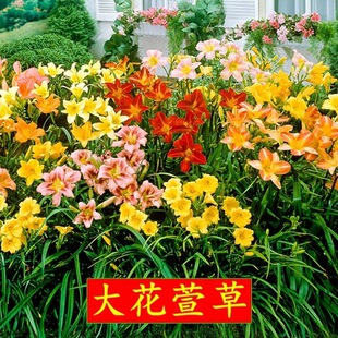 ����ݷN�Ӷ����޸�������������S����ݻ��N�����ļ����N�_��