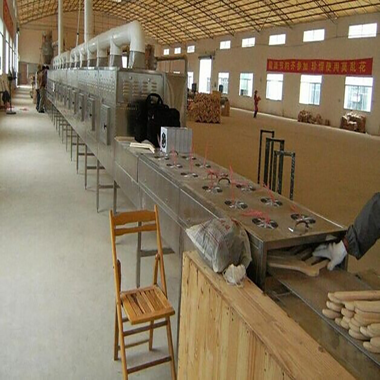 微波设备红枣片山楂片决明子烘干杀菌连续工作机械