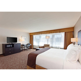 Star Brand Hotel Business Convenient Hotel Room Bathroom Suite Complete Furniture Restaurant Lobby