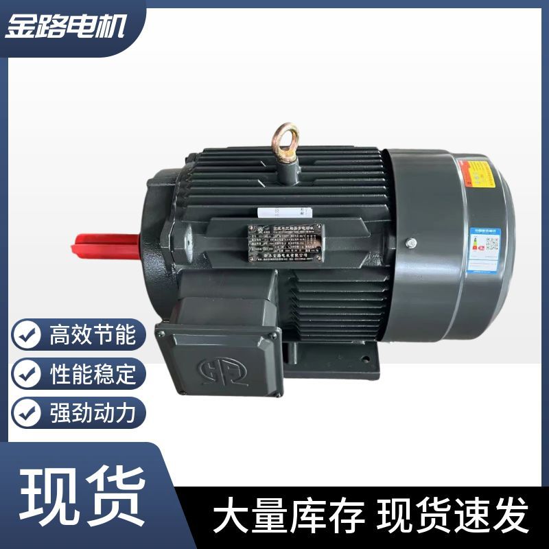 衡水金路电机厂家直销各种型号全新国标YE3.YE4.三相异步电动机