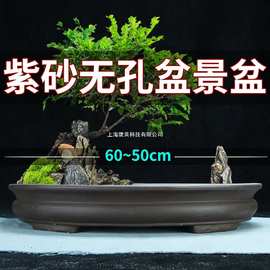 无孔长方椭圆紫砂花盆60cm假山吸水石菖蒲水培腰圆陶瓷盆景盆