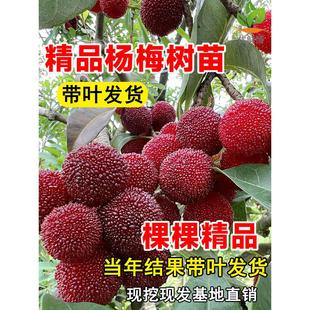 �|���ɾӗ�÷����玧���Ϸ����ڼ޽�ˮ��������������|����÷