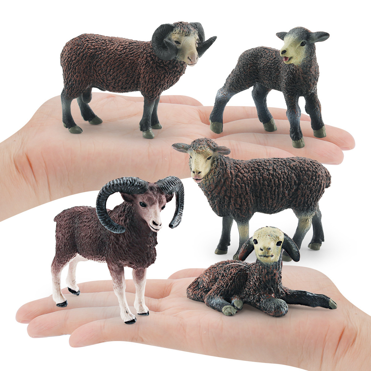 Simulación transfronteriza aves de corral granja animal oveja modelo educativo Cognición de los niños cordero de cabra juguete de decoración estática