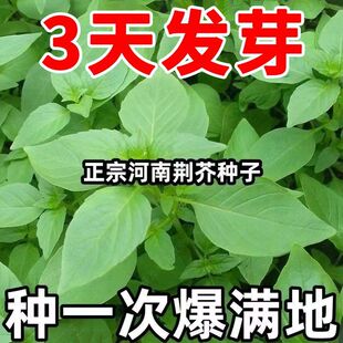 ������~�G��N�Ӻ����G������r�����̨�����߲��ѡ����؟��u��