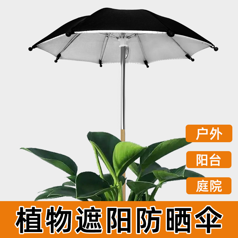 Garden Sunshade Umbrella, Outdoor Plant Protection Umbrella, Plant and Flower Shade, Sun Protection, Garden Courtyard Succulent Sunshade Umbrella Garden Sunshade Umbrella, Outdoor Plant Protection Umbrella, Plant and Flower Shade, Sun Protection, Garden Courtyard Succulent Sunshade Umbrella