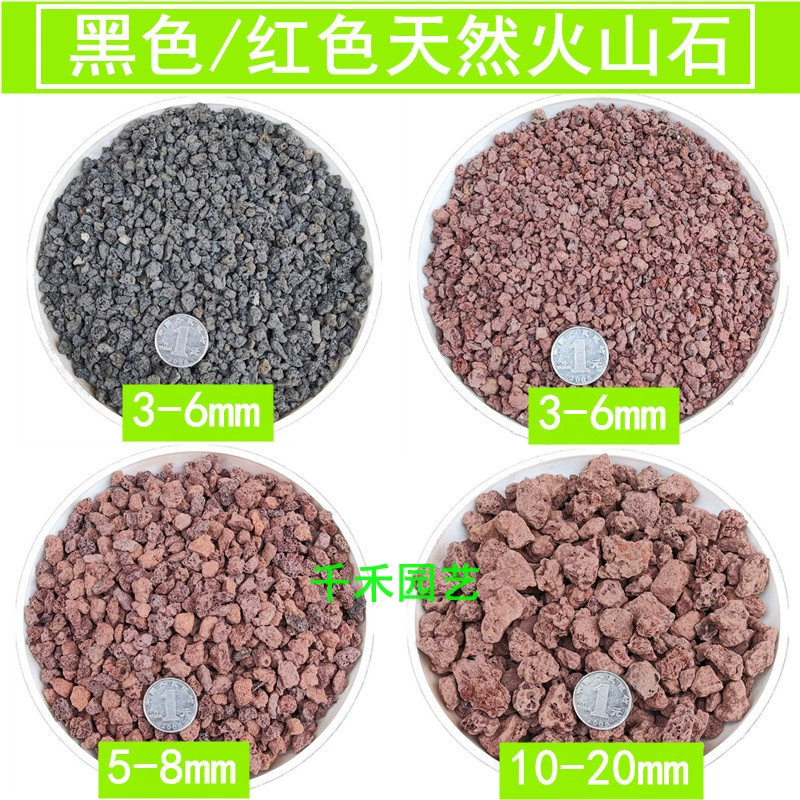 Мясистая почва орхидея Дендробиум среда вулканические породы