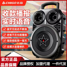 志高广场舞户外无线蓝牙音箱小型充电手提便携大音量K歌家用音响