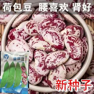 �ɰ����N���I���N�Ӹ߮a�L�۶��N�Ӵ��I���ʵ۶��N���߲˷N����