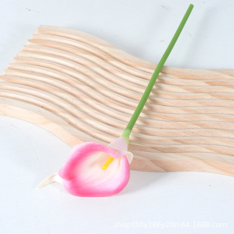 로즈 레드(100개부터 맞춤 색상)