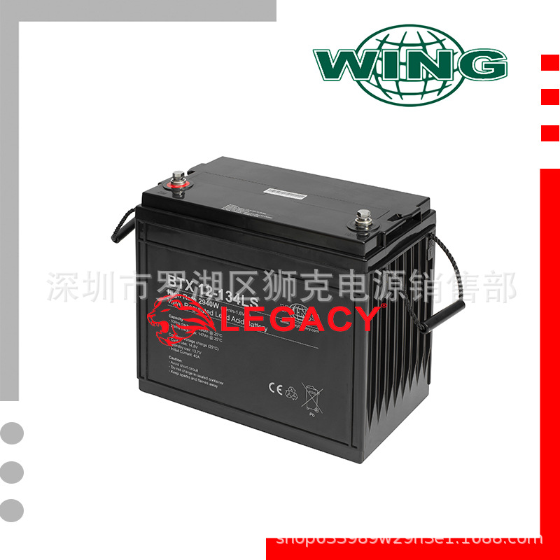 WING蓄电池BTX12-100LS、wing蓄电池 12V100Ah 铅酸免维护电瓶
