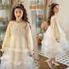 Spring dress, small princess costume, skirt, suitable for teen, long sleeve, autumn, tutu skirt