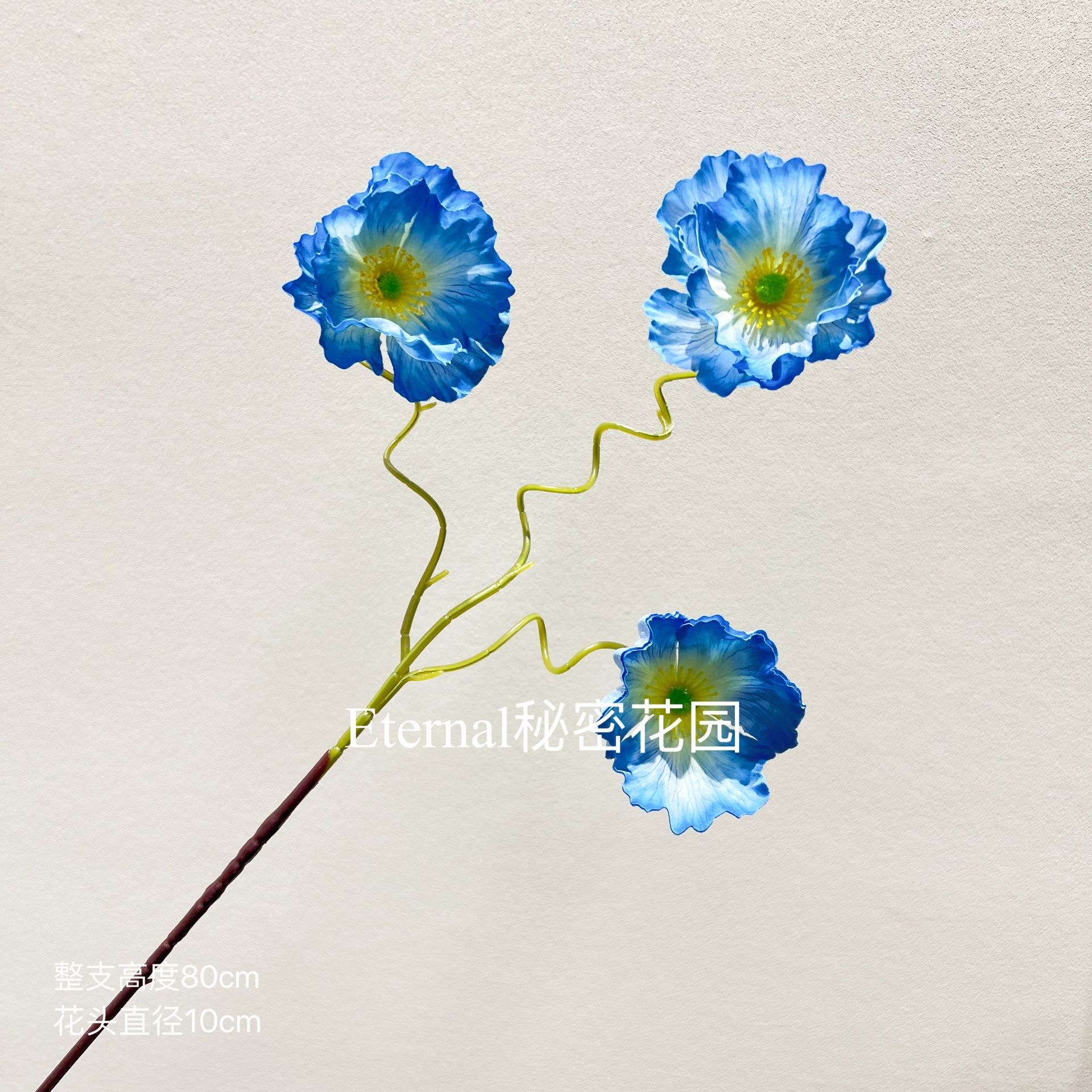 양귀비 블루