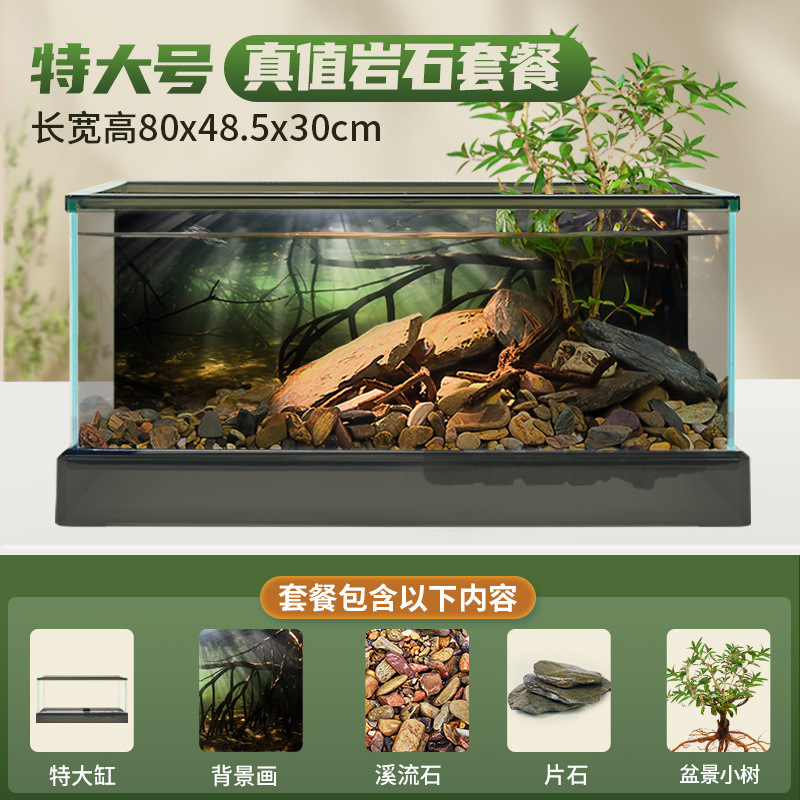 초대형 남미 탱크 [실제 식물 조경 패키지] + 선물 패키지