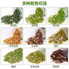 沙盘模型草粉diy假山造景仿真苔藓植物青苔假草坪装饰草地形粉