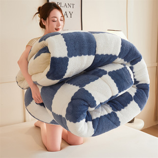 Winter milk velvet double-sided winter quilt warm padded core student dormitory quilt lamb velvet bedding quilt wholesale