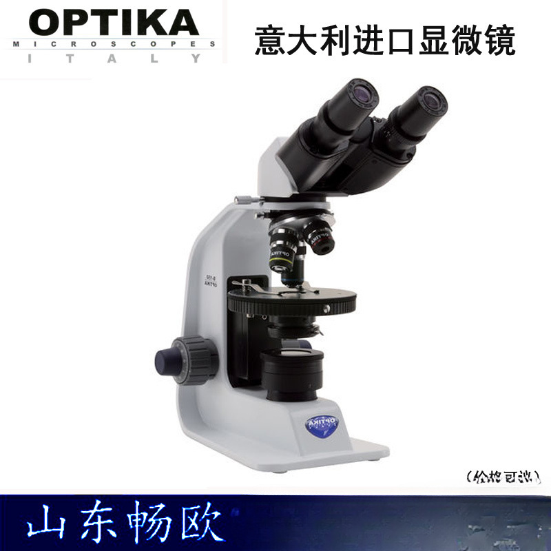 El microscopio polarizador binocular/microscopio polarizador B-150P-BRPL importado de Italia tiene una garantía de un año y se puede facturar