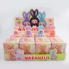 Rabbit [resin] shot 12 times