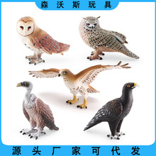 �羳����Ұ���w���B���ģ�̓�ͯ�ƽ̺����������d��؈�^���[��