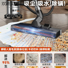 扬子工业吸尘器家用大吸力车用大功率保洁地毯装修美缝专用吸尘机
